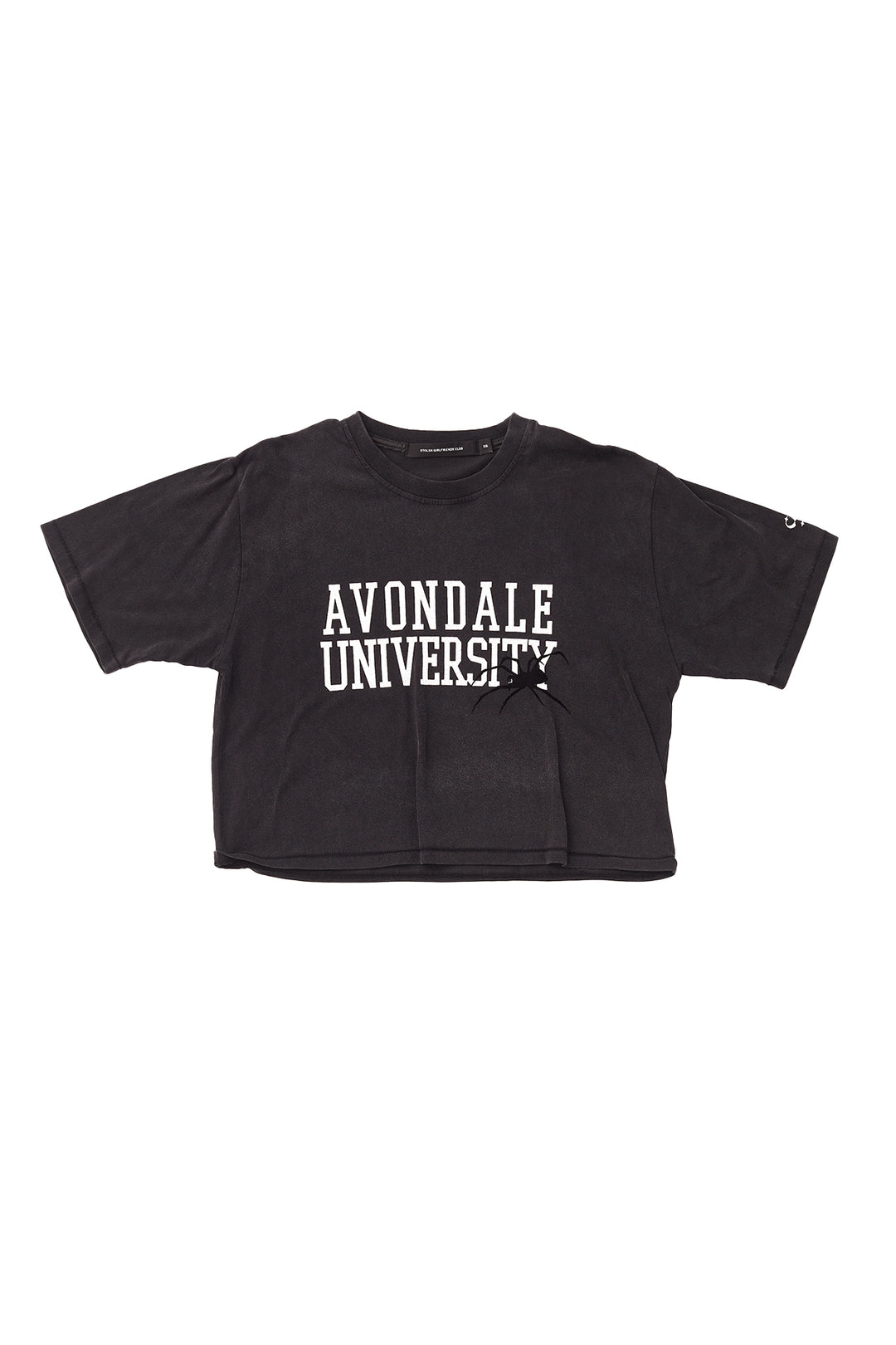 AVONDALE UNIVERSITY RELAXED CROP T-SHIRT