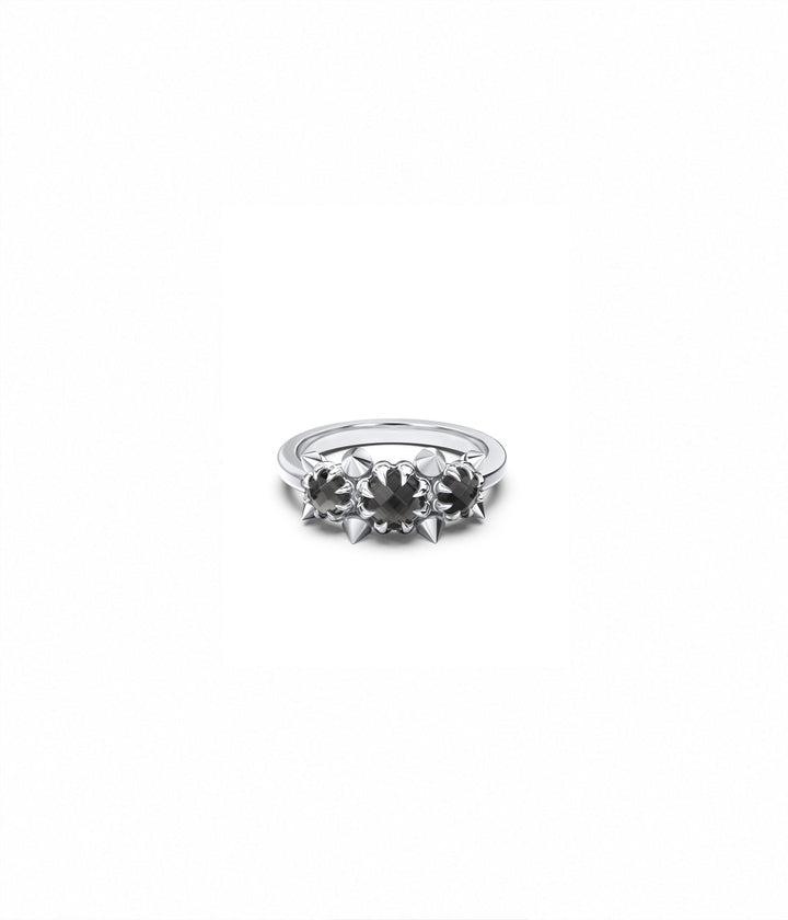 METASOMA CLUSTER RING