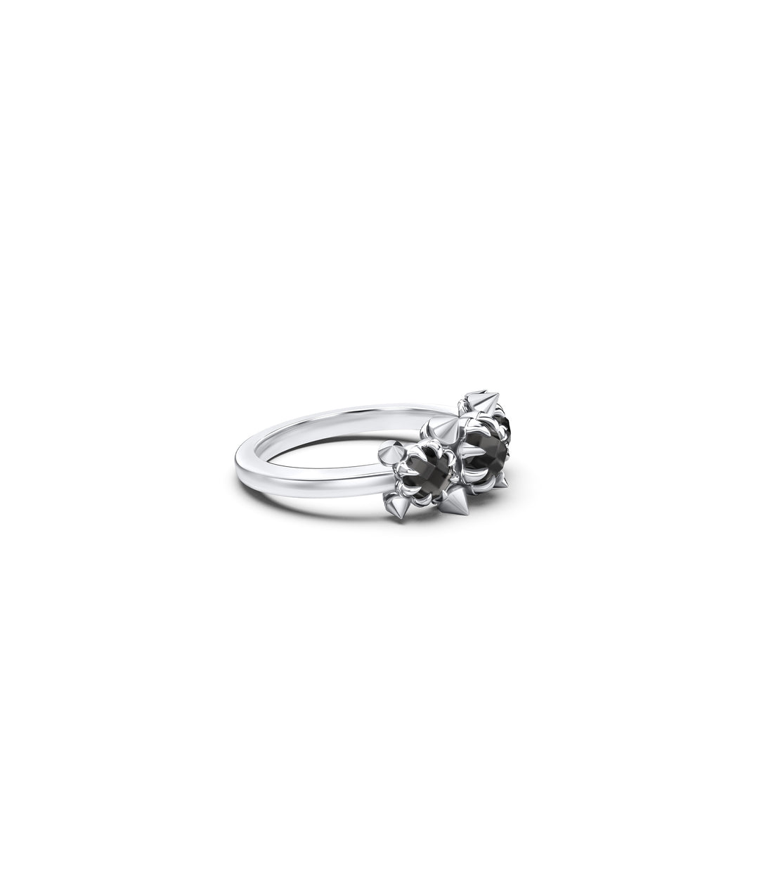 METASOMA CLUSTER RING