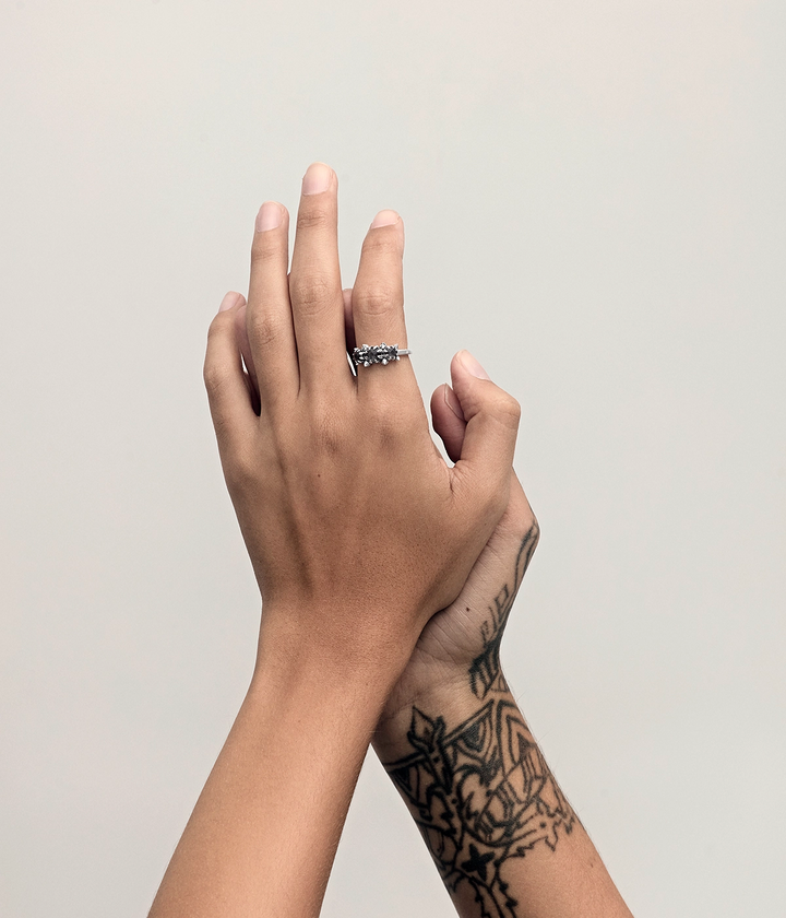 METASOMA CLUSTER RING