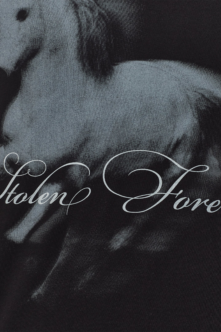 STOLEN SPIRIT T-SHIRT - GIRLFRIEND-FIT