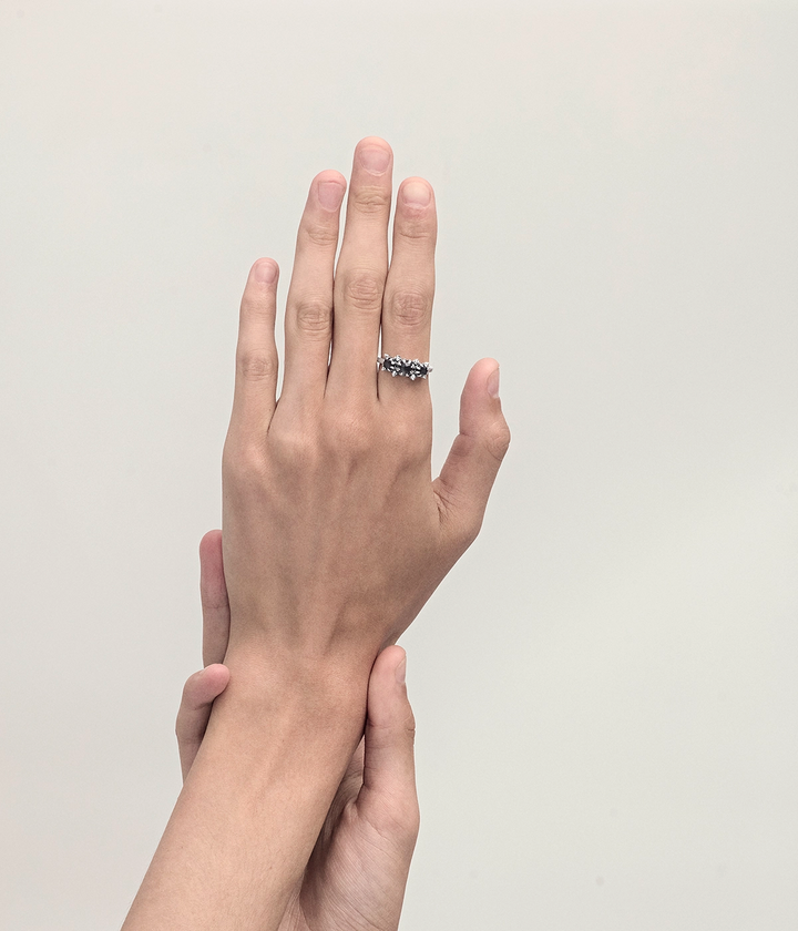 METASOMA CLUSTER RING
