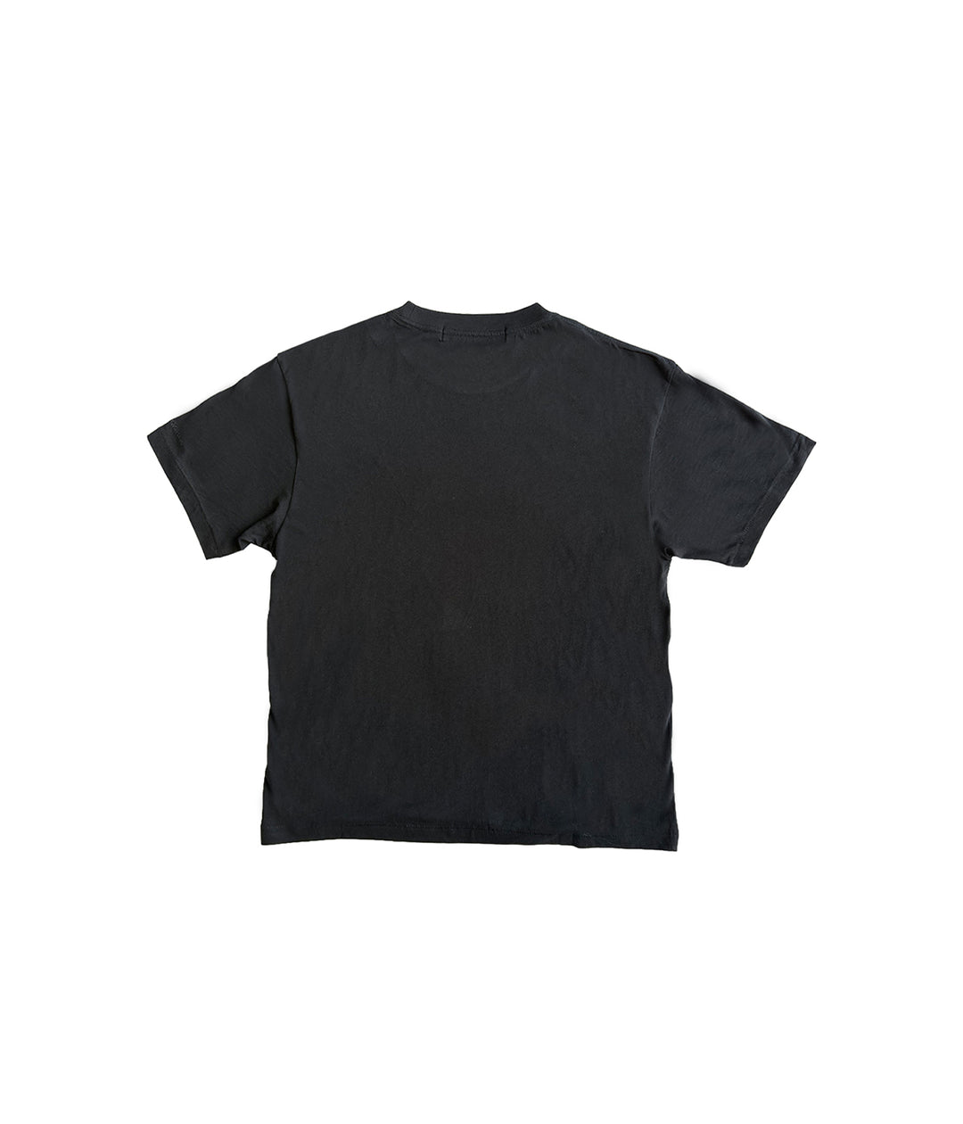 STOLEN SPIRIT T-SHIRT - GIRLFRIEND-FIT