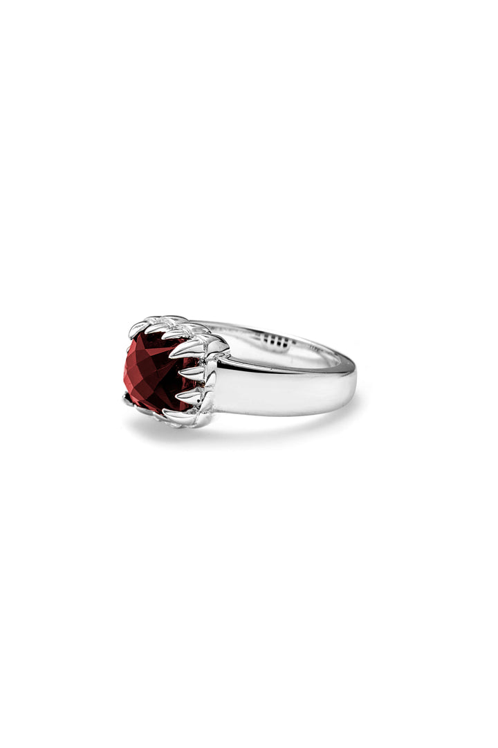 GARNET_SILVER