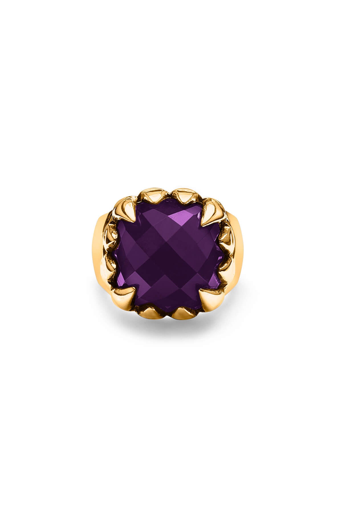 DARK AMETHYST_9K GOLD