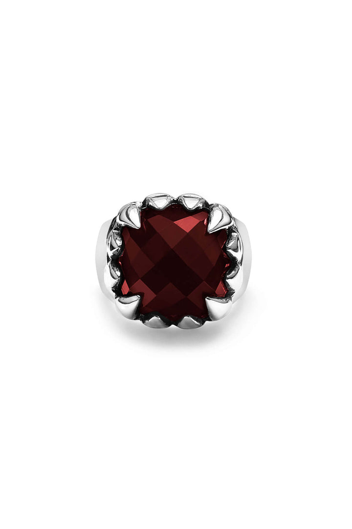 GARNET_SILVER